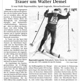 Walter-Demel